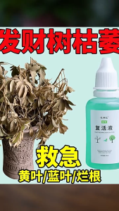 Plant Revival Liquid – Rapid Root Activation & Growth Booster – Rescue Wilting Plants (50ml)