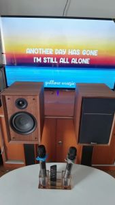 iSOLO N-S60K 80W+80W HIFI BOOKSHELF KARAOKE SET FAMILY & PARTY KTV SPEAKER BLUETOOTH 5.0 HOME THEATER KARAOKE SPEAKER WITH DUAL WIRELESS MIC POWERUL BASS SOUND AUDIO SPEAKER Iso Lo Speaker - Lazada