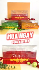 Set 5 Hộp Giấy Đựng Hoa Quả Trái Cây Làm Quà Biếu Tặng Quai Lụa Cao Cấp Kèm Nắp Mica Trong Suốt Loại Hộp Vuông & Chữ Nhật