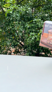 Hũ Thủy Tinh Vuông Trong Suốt Có Nắp Đựng Ngũ Cốc Hạt Khô Gia Vị 800ML (DMFG-800C)