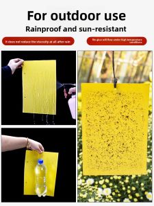 MONLEYTA | Double-Sided Yellow Sticky Bug Board For Greenhouse Vegetable Garden Fly Trap Small Flying Insects Fruit Fly Trap Paper