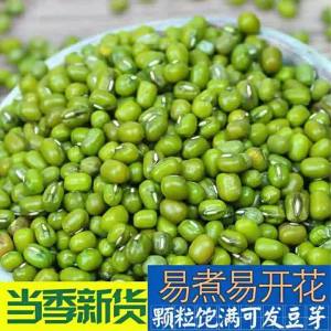 Northeast New Fresh Sprouting Farm Grown Mung Beans