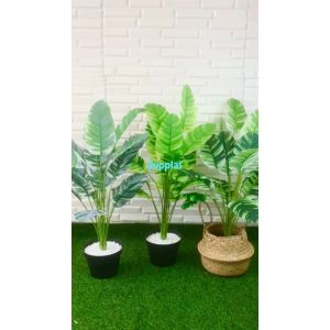 Pohon Artificial Daun Musa: Dekorasi Rumah & Ruangan