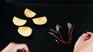 Fruit Battery Experimental Device Primary School Learning And Exercise Equipment