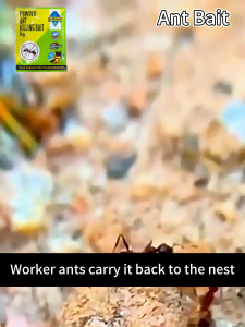 Japan Ant killer Ant repellent For Home Anti Ants killer Original Ant Bait With Effective Results Ant Bait Anti Ant Poison
