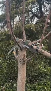 Manual mowing tool manganese steel multifunctional weeding tool betel nut knife gardening pruning tool