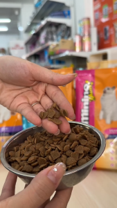 Thức ăn hạt cho mèo mọi lứa tuổi MININO YUM 15Kg