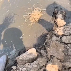 Máy Hút Bùn Bể Biogas – Hút Bùn Đặc Lỏng Có Rác – Lưu Lượng 30m³/h