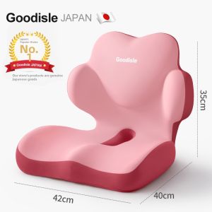 Goodisle | Pain-Relieving Lumbar Support Cushion