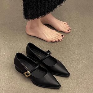 Large Size Womens Shoes French Thick Heel Pointed Toe Black Mary Jane Shoes 42 Ladies Spring New Single Shoes Women