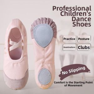 Professional Soft Sole Womens Dance Shoes