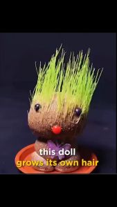 Grass Head Doll Frog Planter Kids Growing Kit Grass Head Growing Kit for Kids Desktop Plants Suitable for Couples KidS Decorative Ornaments