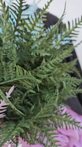 DAUN PAKIS K7 NEW ARTIFICIAL RUMPUT PALSU GROSIR DAN ECER TANAMAN DEKORASI WEDDING