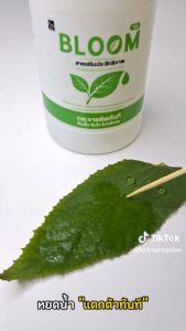 BLOOM 12 ขวด สารเสริมประสิทธิภาพ สารจับใบ