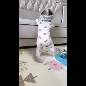 Baby Head Protector Toddler Walking Helmet Adjustable Protective Cap for Baby Safety Toddler Walking