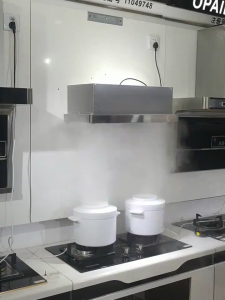 Stainless Steel Dual Motor 900mm Width Range Hood with Expandable Pull-Out Design