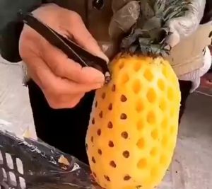 Promo Capit Capitan Mata Nanas Pencabut Pencabit Stainless Steel Alat Kupas Pisau Lebaran Kue Jepitan