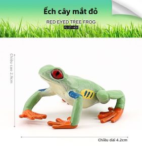 Hình Ảnh Động Vật Lưỡng Cư Giáo Dục Thực Tế
