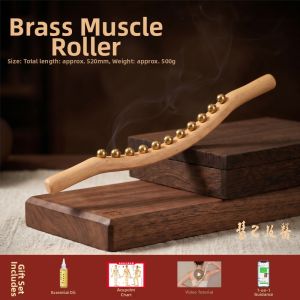 HUIJI | Full Body Massage Roller for TCM Beauty Parlor Use