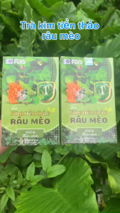 Trà Kim Tiền Thảo Râu Mèo Bổ Thận Lợi Tiểu Thanh Lọc Cơ thể Đẹp Da hộp 30 Túi Lọc