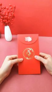 [THEMOMENT] 新款3D立体龙年红包生日红包袋(1个装) 3D BIRTHDAY & CHINESE NEW YEAR ANGPAU (1PCS)