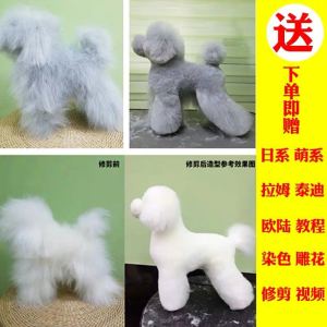 Ruipet Pet Beauty Practice Teddy VIP Wig Model Fake Dog Hair Piece Mannequin Head Hair Fake Back Hair Whole Body Hair