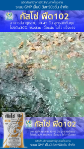 กัสโซ่ฟีด 102M อาหารปลาดุก โปรตีน30% เม็ดกลาง สำหรับอายุ 45–90 วัน สูตรลดต้นทุน สูตรมาตรฐานจาก NBDC