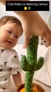 Recording Dancing Cactus Toy Talking Rechargable Plush Toys 120 Music Songs Childrens Gifts