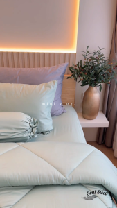 ชุดผ้าปูที่นอน Soul Sleep - Green Mint Collection (แบบรวมผ้านวม)