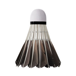 INRT | Durable Windproof Indoor Professional Training Badminton