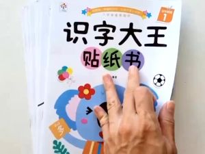 【SG STOCK】8 Copies Chinese word recognition sticker activity learning books for toddler preschooler children识字大王贴纸书 狮城奶爸