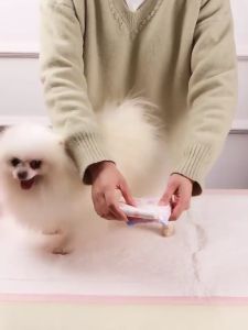 DONODog  DIAPER Breathable DONO狗狗生理裤尿不湿公狗纸尿裤小泰迪宠物