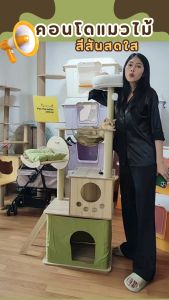 🌈PetParadise✨ คอนโดแมว cat condo คอนโดแมวไม้ สีสันสดใส มีหลุมอวกาศใส มีให้เลือกหลายแบบ