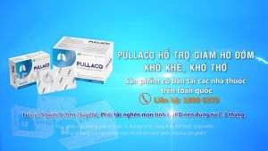 PULLACO giúp bổ phế long đờm giảm ho hộp 20 viên