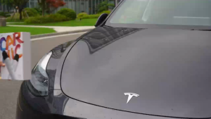 Tesla Microphone Caraoke Mic for Tesla(Works for Model Y/3/X/Cybertruck ) Rechargeable Mic with USB-A & USB-C Converter