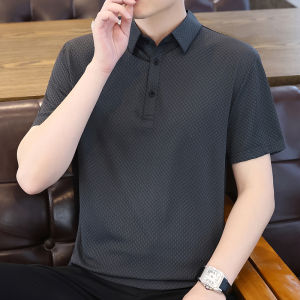 High-End Ice Silk Collared T-Shirt Short Sleeve Mens Fashionable Mature Stylish Youth Half Sleeve Polo Shirt Breathable Summer