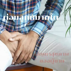 ส่งฟรี ต่อมลูกหมากโต ยาต่อมลูกหมาก ยารักษาต่อมลูกหมาก giffarine lycopene prostate supplement อาหารเสริมต่อมลูกหมาก