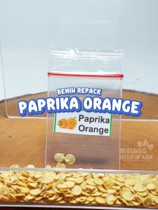 Benih Paprika Orange Unggulan buah berkualitas biji bibit pepper cabai tomat hydroponik hidroponik