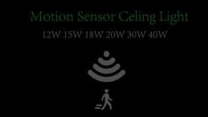 Led Motion Sensor Light 85-220V Ceiling Lamp For Home Corridor Stair Veranda Living Room Bedroom Rader Sensor Smart Night Light