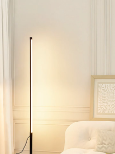 《2 Day Doorstep Delivery》NIASA Minimalist LED floor lamp atmosphere lamp