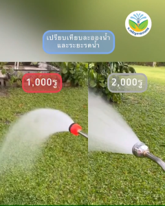 หัวฝักบัวรดน้ำ1000 รู และ 2000 รู #หัวบัวพลาสติก #หัวบัวสแตนเลส #รดน้ำต้นไม้