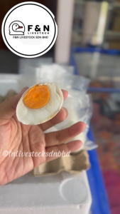 TELUR MASIN SIAP DIREBUS & READY TO EAT (VACUUM PACK)