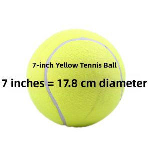 Elastic Dog Toy Ball