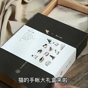 Aesthetic Vintage Notebook Gift Set