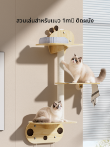 hipidog | ชั้นปีนสำหรับแมวติดผนังและบ้านแมวประหยัดพื้นที่