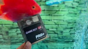 Gaming Gear Cartridge Flash GG 2000 in 1 Games with TF Card Compatible For GBC For GBA Handheld Console Retro Gaming Collection