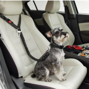Reflective Pet Dog Car Seat Belt Puppy Collar Walking Travel Car Accessories Cat Leash Harness for Small Dogs Pet Car Supplies