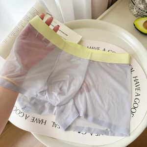 Ice Silk Transparent Mens Boxer Shorts Breathable Thin Summer Underwear Youth mid Waist Comfortable Briefs Briefs