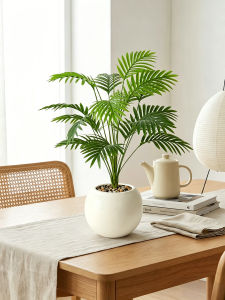 Decorative Realistic Lazy Care Mini Plant