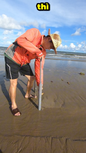 Ống Bắt Tôm Tít Nhựa – Hàng Chính Chủ Mò Cua Bắt Ốc - TV Dập Logo Dễ Dùng Cho Bé & Người Lớn